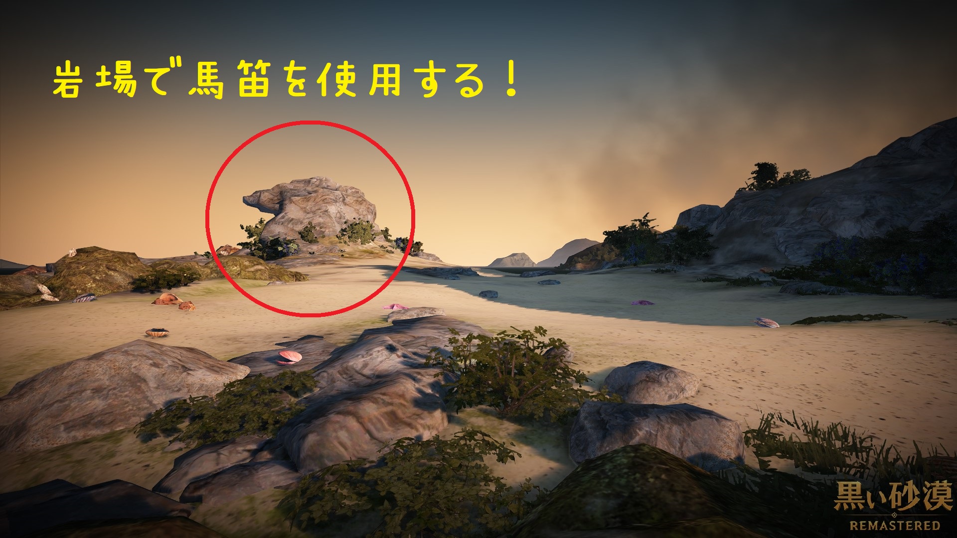 黒い砂漠 狩り場レポート プロティ洞窟 ウェイタ島 いさとている